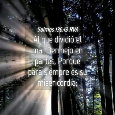 Picture 04 - Salmos 136:13 RVA - Al que dividió el mar Bermejo en partes, Porque - Bible Verse Picture