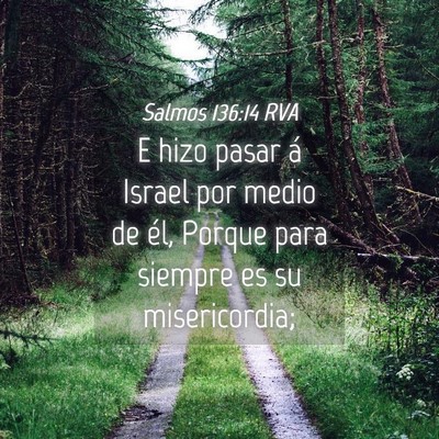 Picture 04 - Salmos 136:14 RVA - E hizo pasar á Israel por medio de él, Porque - Bible Verse Picture