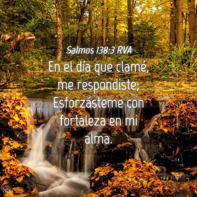 Picture 04 - Salmos 138:3 RVA - En el día que clamé, me respondiste; - Bible Verse Picture
