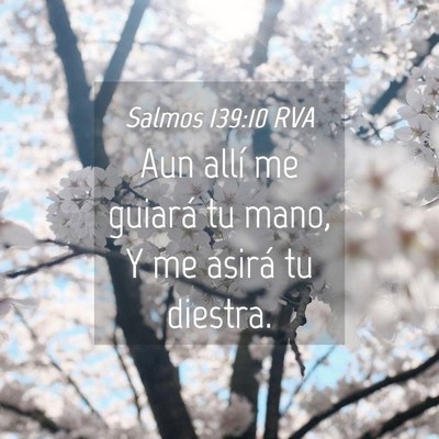 Picture 04 - Salmos 139:10 RVA - Aun allí me guiará tu mano, Y me asirá tu - Bible Verse Picture