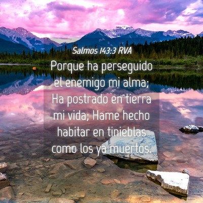 Picture 04 - Salmos 143:3 RVA - Porque ha perseguido el enemigo mi alma; Ha - Bible Verse Picture