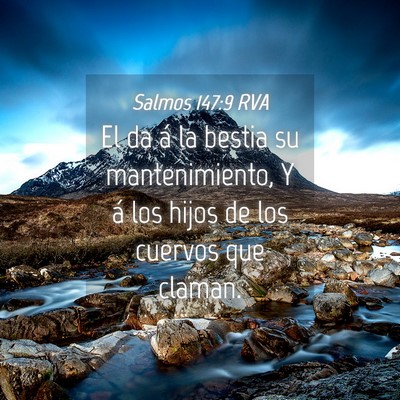 Picture 04 - Salmos 147:9 RVA - El da á la bestia su mantenimiento, Y á los - Bible Verse Picture