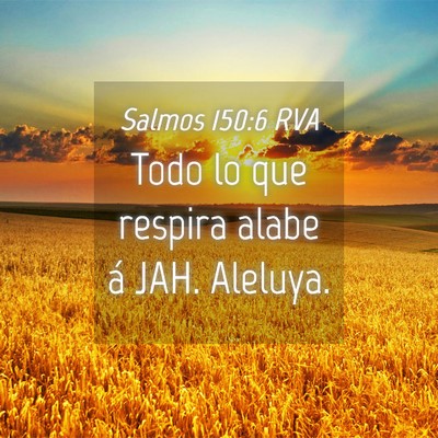 Picture 04 - Salmos 150:6 RVA - Todo lo que respira alabe á JAH. - Bible Verse Picture