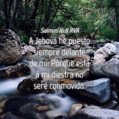 Picture 04 - Salmos 16:8 RVA - A Jehová he puesto siempre delante de mí: - Bible Verse Picture