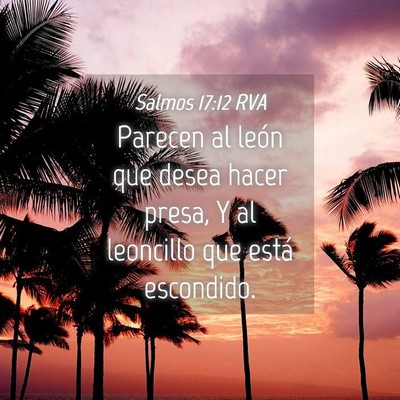 Picture 04 - Salmos 17:12 RVA - Parecen al león que desea hacer presa, Y al - Bible Verse Picture