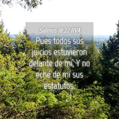 Picture 04 - Salmos 18:22 RVA - Pues todos sus juicios estuvieron delante de mí, - Bible Verse Picture