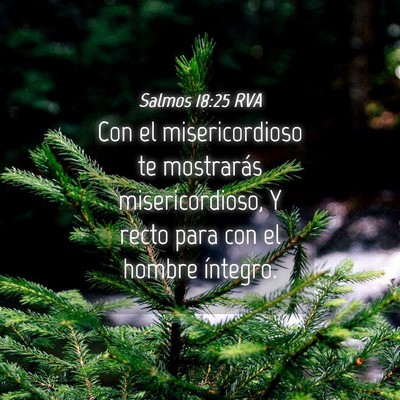 Picture 04 - Salmos 18:25 RVA - Con el misericordioso te mostrarás - Bible Verse Picture