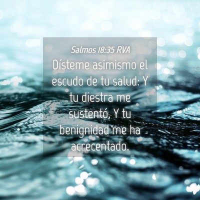 Picture 04 - Salmos 18:35 RVA - Dísteme asimismo el escudo de tu salud: Y tu - Bible Verse Picture