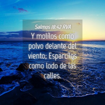 Picture 04 - Salmos 18:42 RVA - Y molílos como polvo delante del viento; - Bible Verse Picture