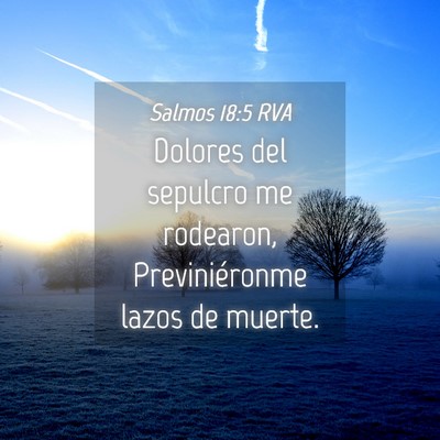 Picture 04 - Salmos 18:5 RVA - Dolores del sepulcro me rodearon, Previniéronme - Bible Verse Picture