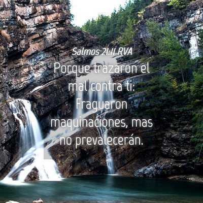 Picture 04 - Salmos 21:11 RVA - Porque trazaron el mal contra ti: Fraguaron - Bible Verse Picture