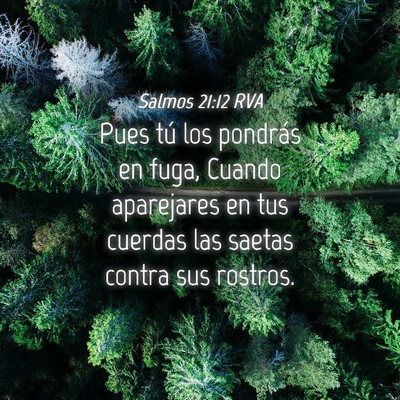 Picture 04 - Salmos 21:12 RVA - Pues tú los pondrás en fuga, Cuando aparejares - Bible Verse Picture