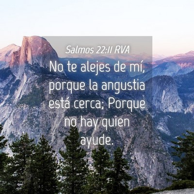 Picture 04 - Salmos 22:11 RVA - No te alejes de mí, porque la angustia está - Bible Verse Picture