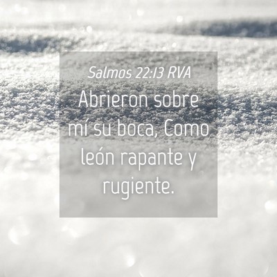 Picture 04 - Salmos 22:13 RVA - Abrieron sobre mí su boca, Como león rapante y - Bible Verse Picture