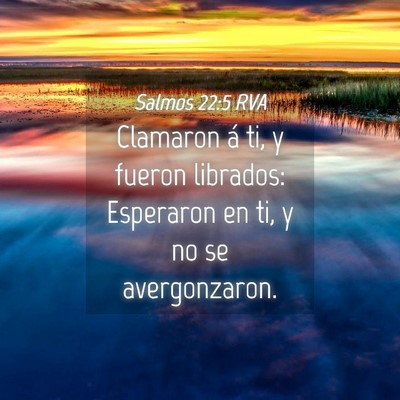Picture 04 - Salmos 22:5 RVA - Clamaron á ti, y fueron librados: Esperaron en - Bible Verse Picture