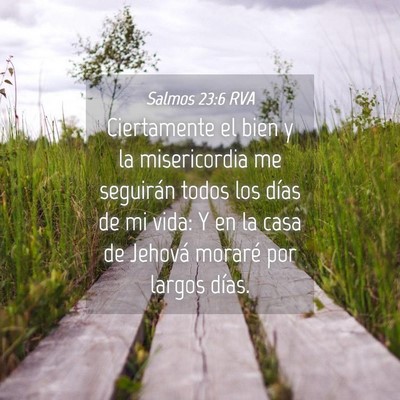 Picture 04 - Salmos 23:6 RVA - Ciertamente el bien y la misericordia me - Bible Verse Picture