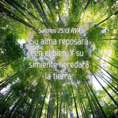 Picture 04 - Salmos 25:13 RVA - Su alma reposará en el bien, Y su simiente - Bible Verse Picture