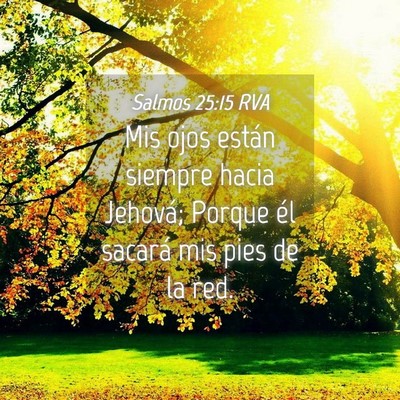 Picture 04 - Salmos 25:15 RVA - Mis ojos están siempre hacia Jehová; Porque él - Bible Verse Picture