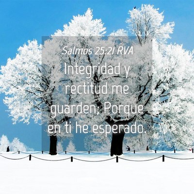 Picture 04 - Salmos 25:21 RVA - Integridad y rectitud me guarden; Porque en ti he - Bible Verse Picture