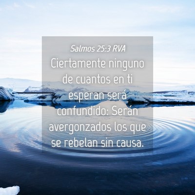 Picture 04 - Salmos 25:3 RVA - Ciertamente ninguno de cuantos en ti esperan - Bible Verse Picture