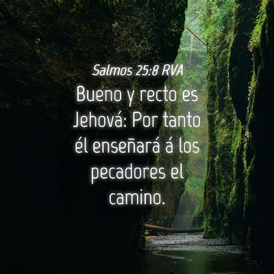 Picture 04 - Salmos 25:8 RVA - Bueno y recto es Jehová: Por tanto él - Bible Verse Picture