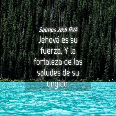 Picture 04 - Salmos 28:8 RVA - Jehová es su fuerza, Y la fortaleza de las - Bible Verse Picture