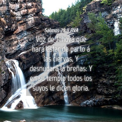 Picture 04 - Salmos 29:9 RVA - Voz de Jehová que hará estar de parto á las - Bible Verse Picture
