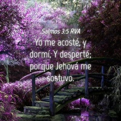 Picture 04 - Salmos 3:5 RVA - Yo me acosté, y dormí, Y desperté; porque - Bible Verse Picture