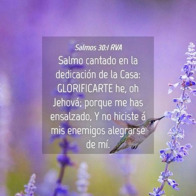Picture 04 - Salmos 30:1 RVA - Salmo cantado en la dedicación de la Casa: - Bible Verse Picture