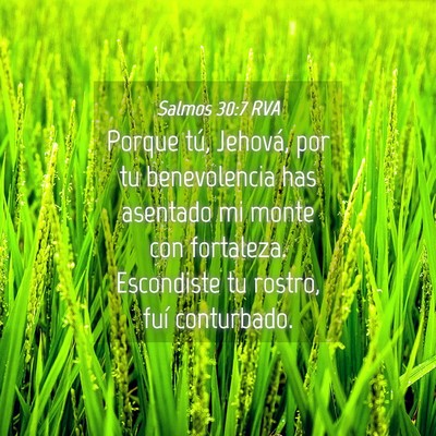 Picture 04 - Salmos 30:7 RVA - Porque tú, Jehová, por tu benevolencia has - Bible Verse Picture