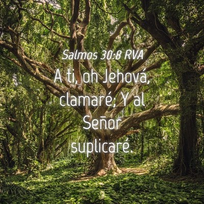 Picture 04 - Salmos 30:8 RVA - A ti, oh Jehová, clamaré; Y al Señor - Bible Verse Picture