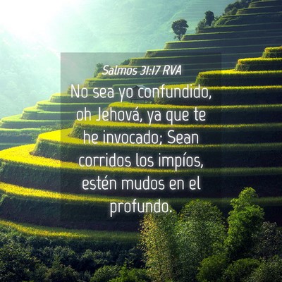 Picture 04 - Salmos 31:17 RVA - No sea yo confundido, oh Jehová, ya que te he - Bible Verse Picture