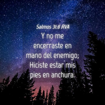 Picture 04 - Salmos 31:8 RVA - Y no me encerraste en mano del enemigo; Hiciste - Bible Verse Picture