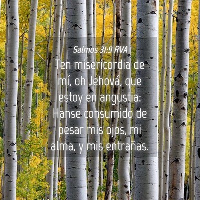 Picture 04 - Salmos 31:9 RVA - Ten misericordia de mí, oh Jehová, que estoy en - Bible Verse Picture