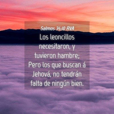 Picture 04 - Salmos 34:10 RVA - Los leoncillos necesitaron, y tuvieron hambre; - Bible Verse Picture