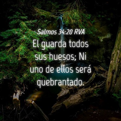 Picture 04 - Salmos 34:20 RVA - El guarda todos sus huesos; Ni uno de ellos será - Bible Verse Picture