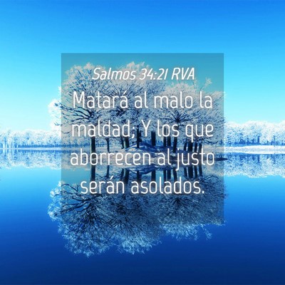 Picture 04 - Salmos 34:21 RVA - Matará al malo la maldad; Y los que aborrecen al - Bible Verse Picture