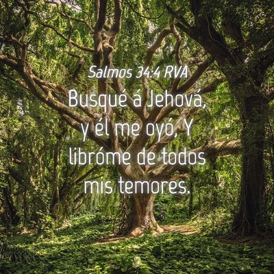 Picture 04 - Salmos 34:4 RVA - Busqué á Jehová, y él me oyó, Y libróme de - Bible Verse Picture