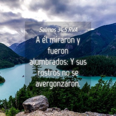 Picture 04 - Salmos 34:5 RVA - A él miraron y fueron alumbrados: Y sus rostros - Bible Verse Picture