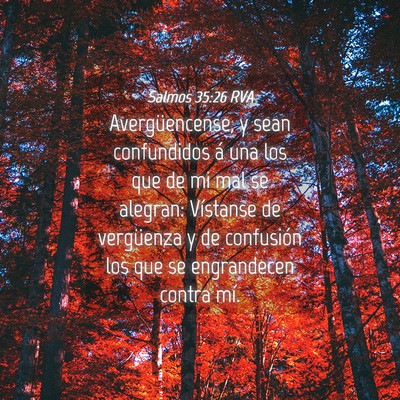 Picture 04 - Salmos 35:26 RVA - Avergüencense, y sean confundidos á una los que - Bible Verse Picture