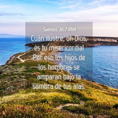 Picture 04 - Salmos 36:7 RVA - Cuán ilustre, oh Dios, es tu misericordia! Por - Bible Verse Picture