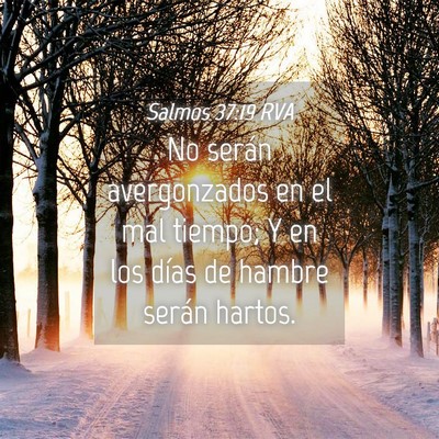 Picture 04 - Salmos 37:19 RVA - No serán avergonzados en el mal tiempo; Y en los - Bible Verse Picture