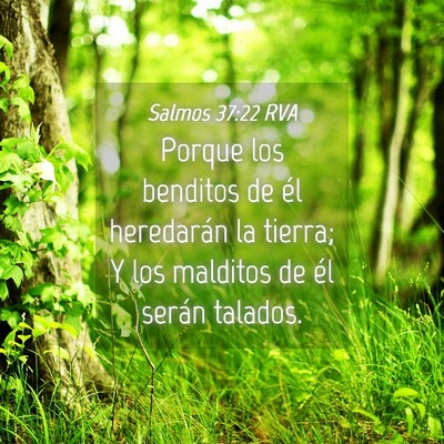 Picture 04 - Salmos 37:22 RVA - Porque los benditos de él heredarán la tierra; - Bible Verse Picture