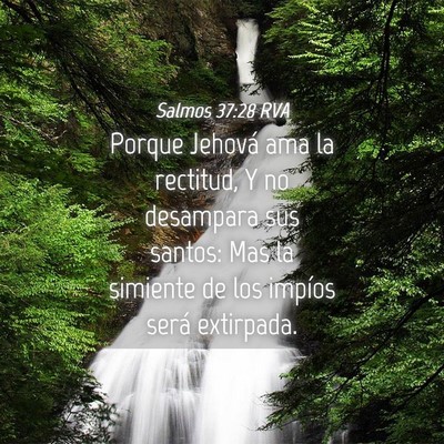 Picture 04 - Salmos 37:28 RVA - Porque Jehová ama la rectitud, Y no desampara - Bible Verse Picture