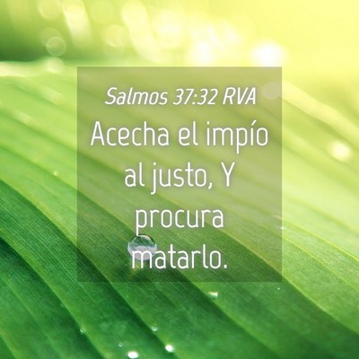 Picture 04 - Salmos 37:32 RVA - Acecha el impío al justo, Y procura - Bible Verse Picture
