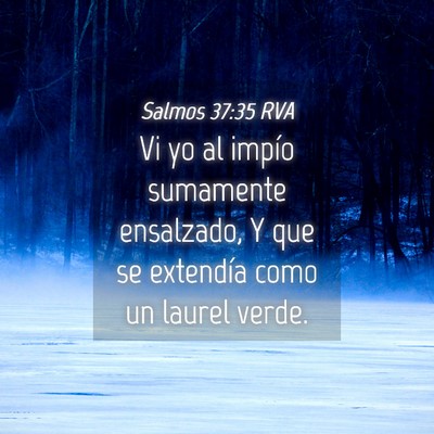 Picture 04 - Salmos 37:35 RVA - Vi yo al impío sumamente ensalzado, Y que se - Bible Verse Picture