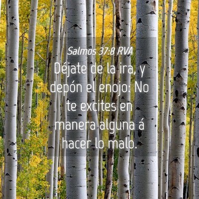 Picture 04 - Salmos 37:8 RVA - Déjate de la ira, y depón el enojo: No te - Bible Verse Picture