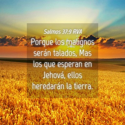 Picture 04 - Salmos 37:9 RVA - Porque los malignos serán talados, Mas los que - Bible Verse Picture
