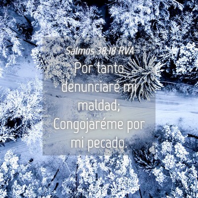 Picture 04 - Salmos 38:18 RVA - Por tanto denunciaré mi maldad; Congojaréme por - Bible Verse Picture