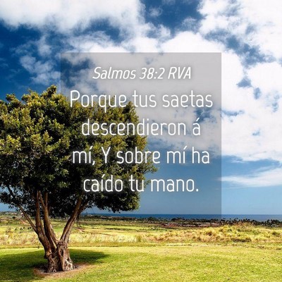 Picture 04 - Salmos 38:2 RVA - Porque tus saetas descendieron á mí, Y sobre - Bible Verse Picture